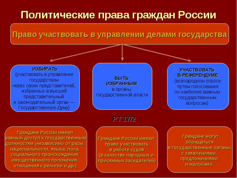 Политические права человека план